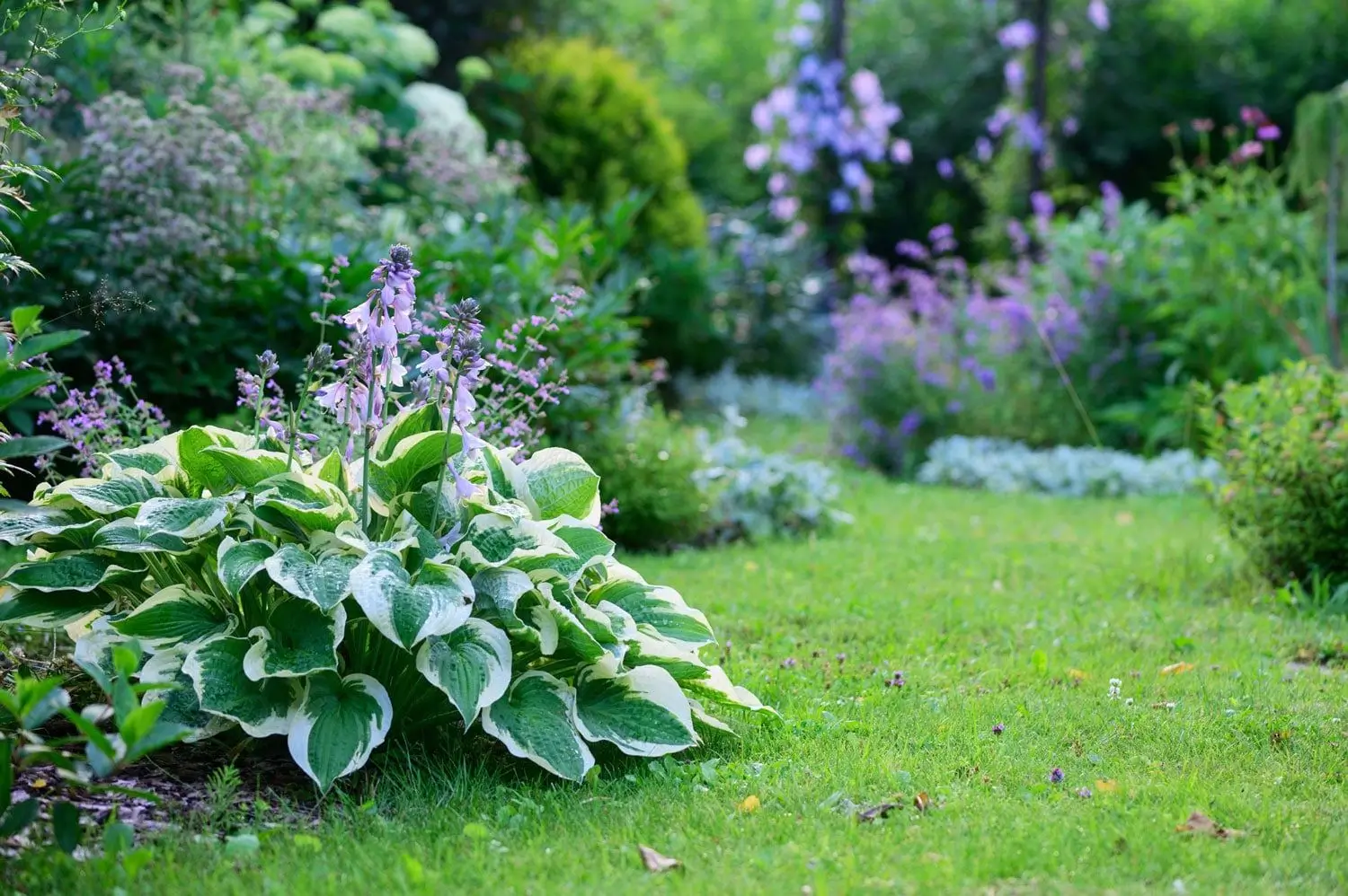 Keeping Deer Out Your Garden